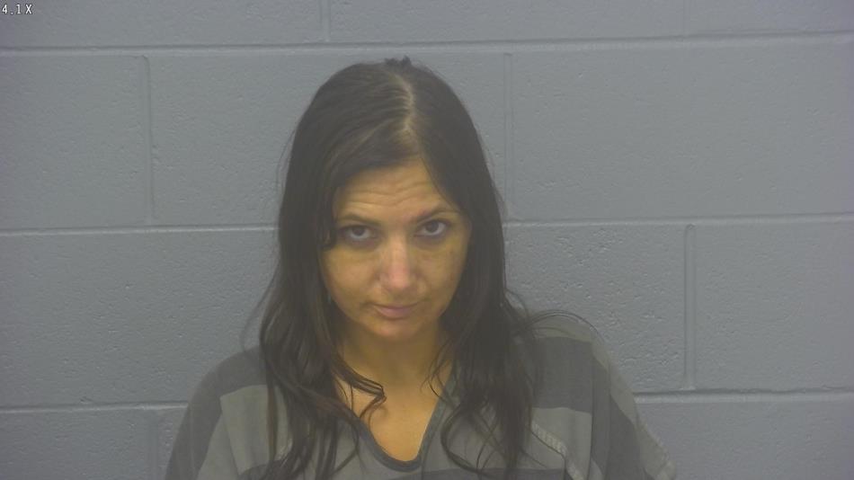 Arrest photo of THERESA   CARROLL